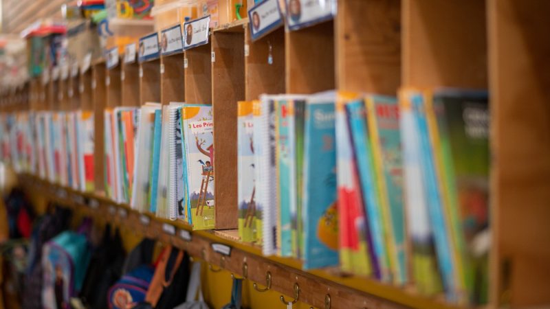 Libros infantiles en estante en una sala de clases